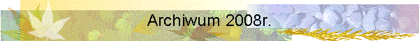 Archiwum 2008r.