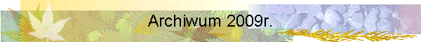 Archiwum 2009r.