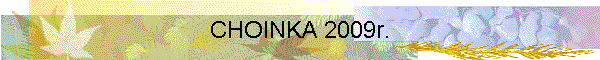 CHOINKA 2009r.