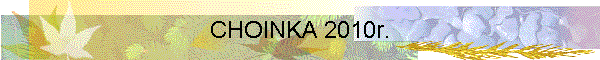 CHOINKA 2010r.