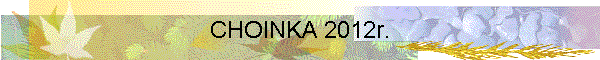 CHOINKA 2012r.