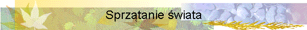 Sprz�tanie �wiata