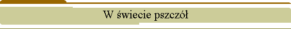 W wiecie pszcz