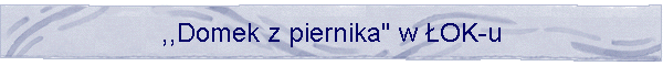 ,,Domek z piernika" w OK-u