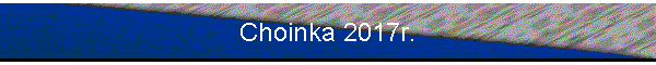 Choinka 2017r.