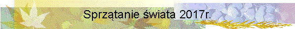 Sprztanie wiata 2017r.